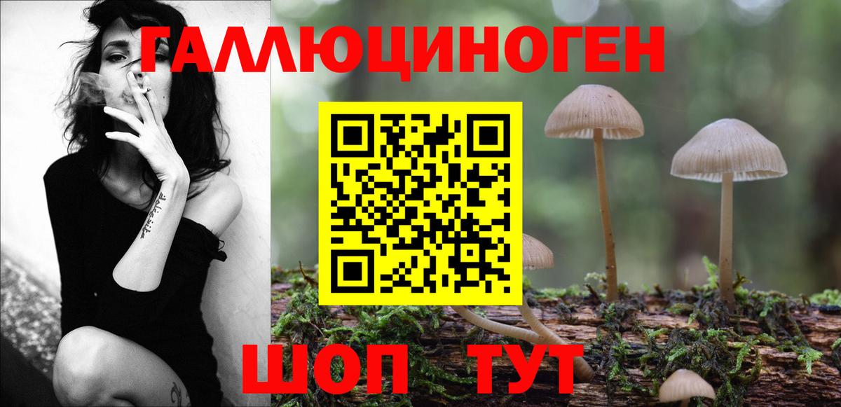 Галлюциногенные грибы Magic Shrooms  Псилоцибиновые грибы Psilocybine cubensis  Вход с VPN  Касимов 
