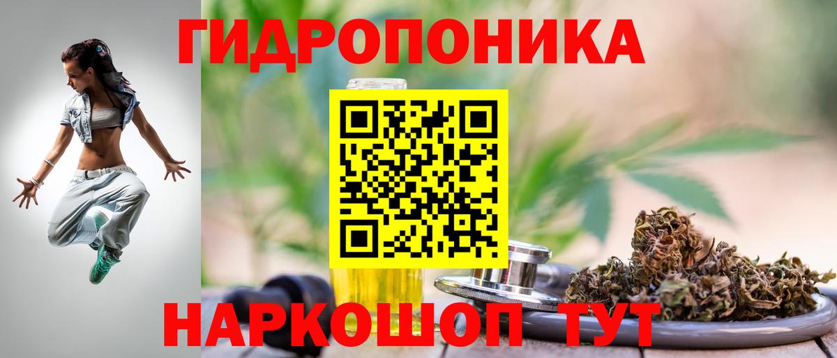 Каннабис OG Kush Касимов